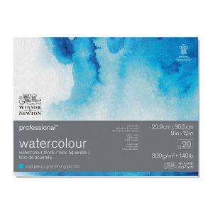 บลอคสีน้ำโปร Winsor & Newton CP 300G 22.9x30.5 20SH #6664002