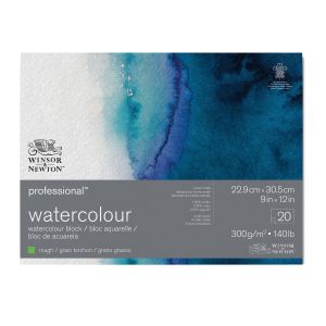บลอคสีน้ำระดับศิลปิน Winsor & Newton Rough 300แกรม 20แผ่น 22.9x30.5ซม. #6664010