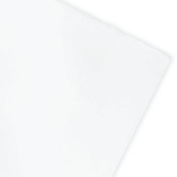 กระดาษสีน้ำโปร Winsor & Newton HP 300G 56x76 10SH #6663284