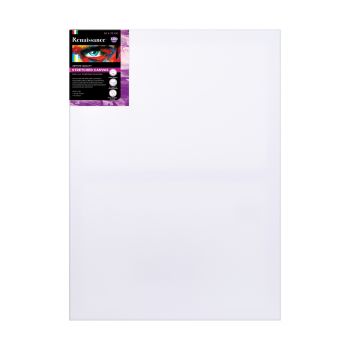 แคนวาสสำเร็จรูปเรนาซองซ์ 380G 50x70ซม.