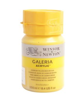 สีอะคริลิค Winsor & Newton Galeria 250 มล.